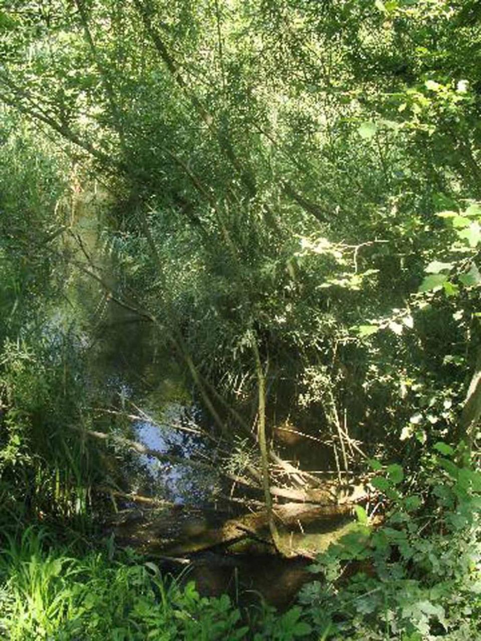 Appartementhaus Loewenzahn Bad Füssing Exteriör bild
